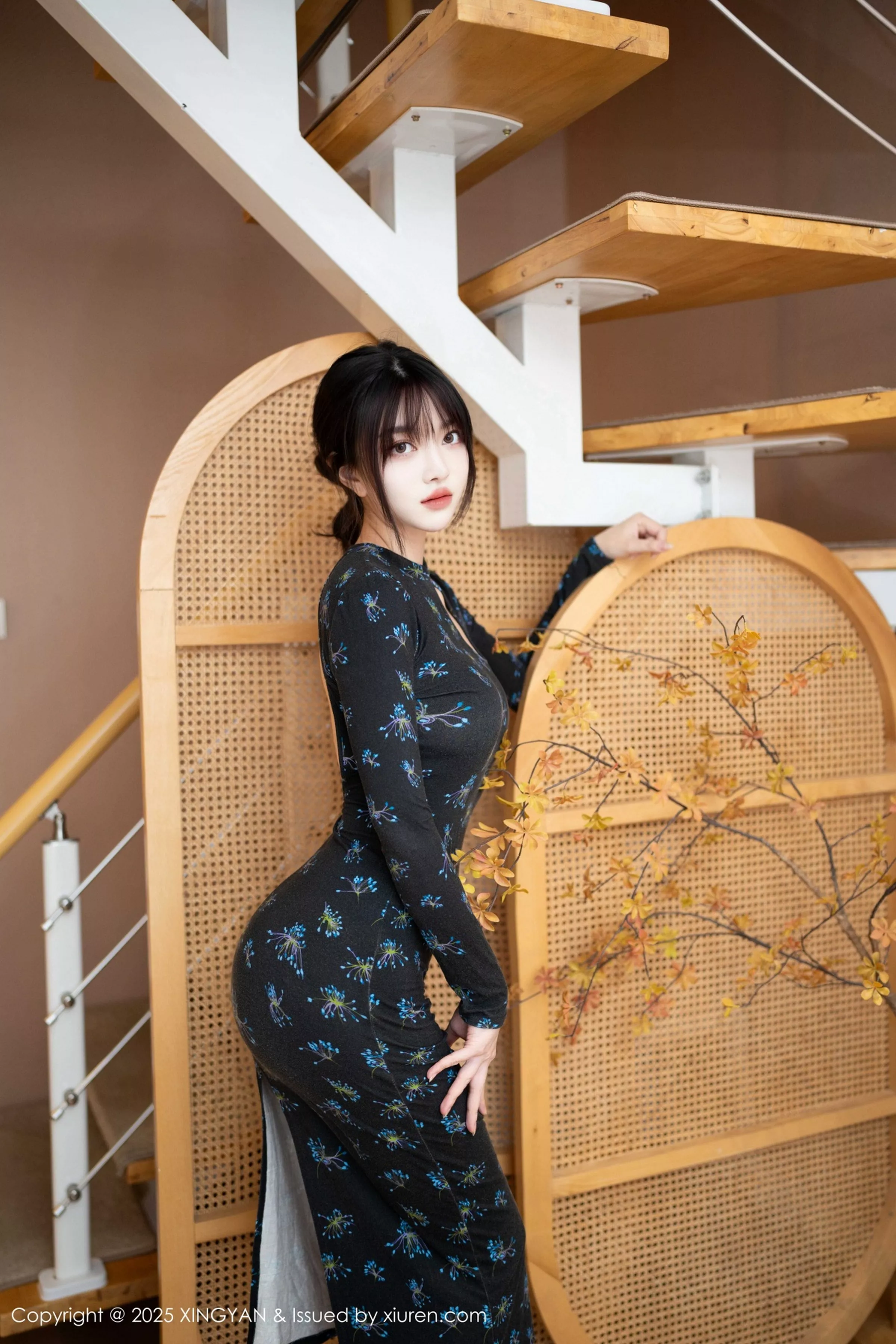 白露写真