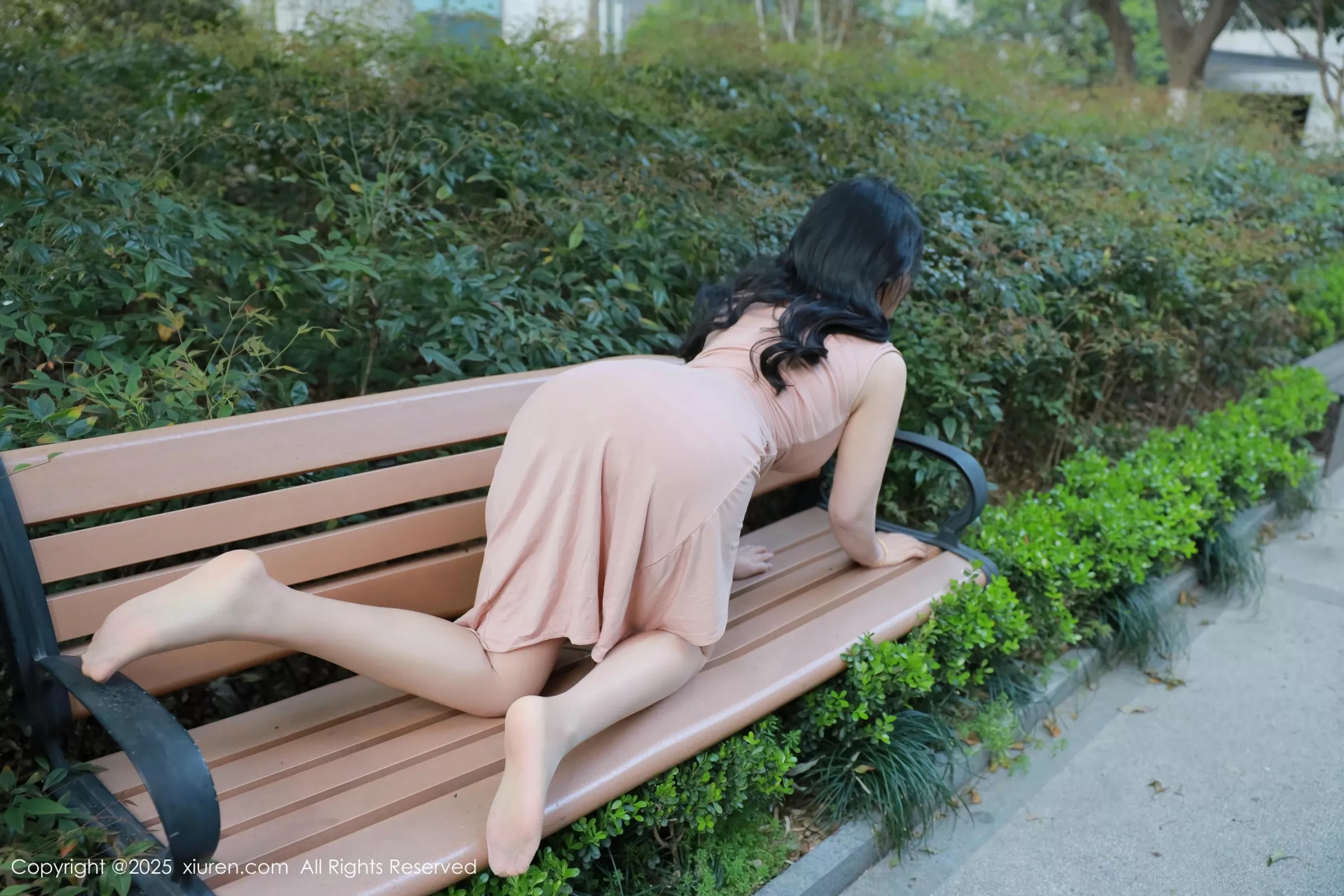 麦田写真