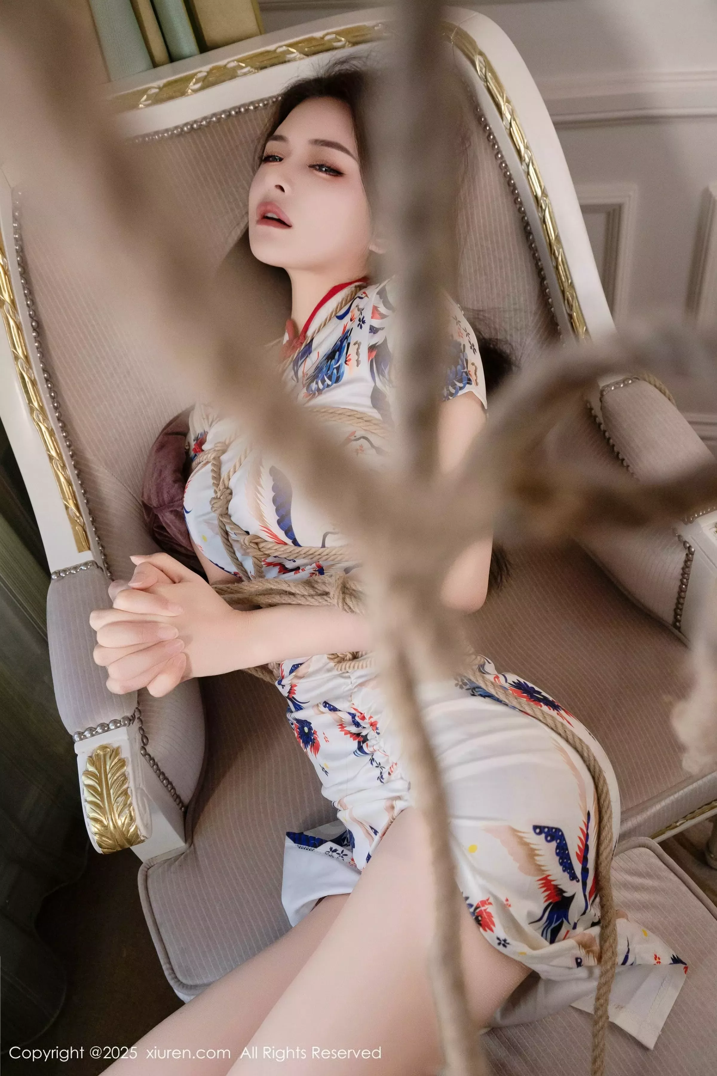 灿宝写真